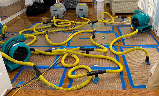 Professional Water Damage Restoration technician working in Hickman, KY
